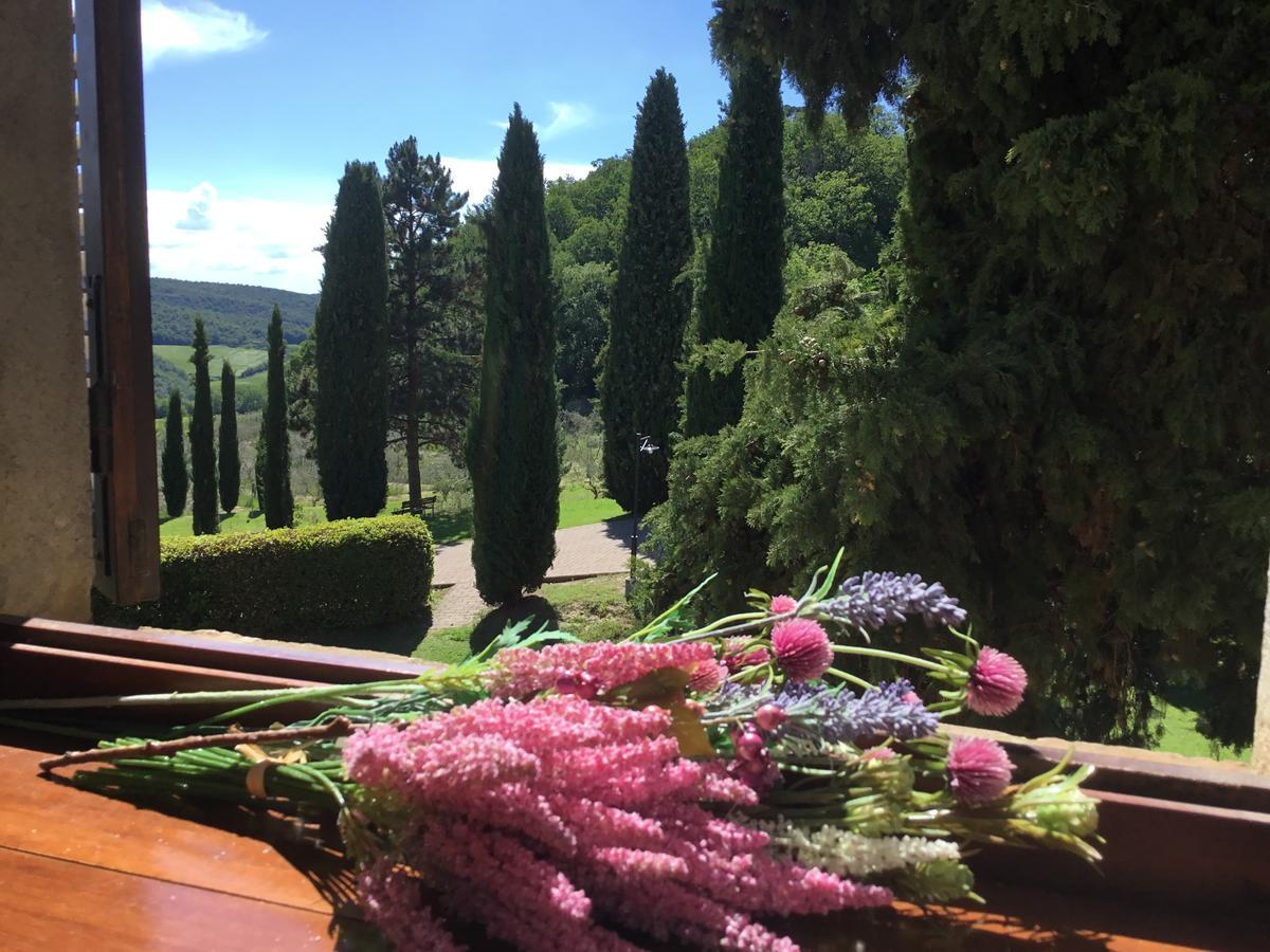 Sant'antonio Country * Montepulciano Stazione